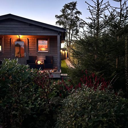 Chalet In Het Groen Met Airco Drachtstercompagnie Εξωτερικό φωτογραφία