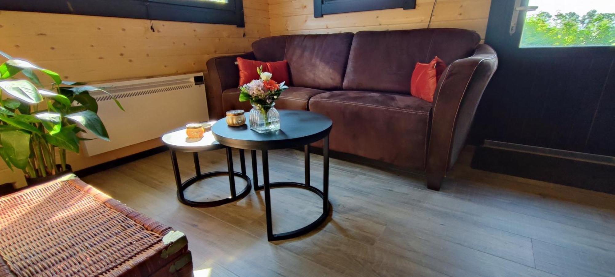 Chalet In Het Groen Met Airco Drachtstercompagnie Εξωτερικό φωτογραφία